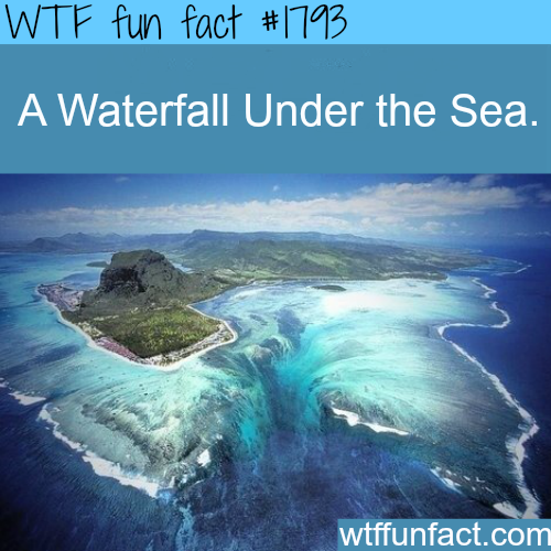 A waterfall under water -WTF fun facts