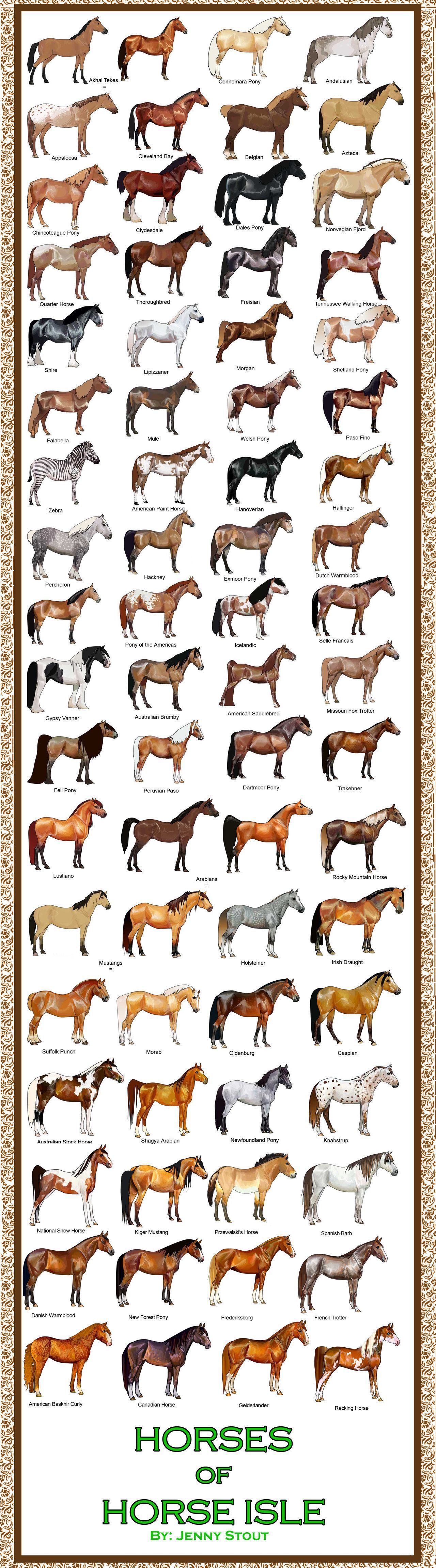Breed Chart: Horses