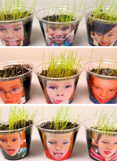 Growing Hair! Too funny! Great for a classroom activity.