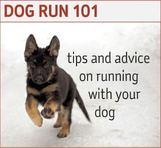 Runners World tips for running with your dog.