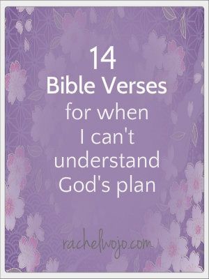 14 Bible verses for when I cant understand Gods plan