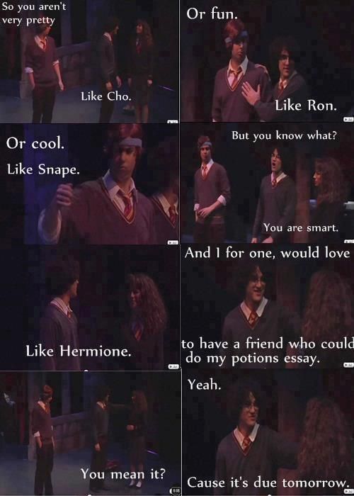 AVPS  ~ Harry Potter. I for one would love to have a friend who can do my potion