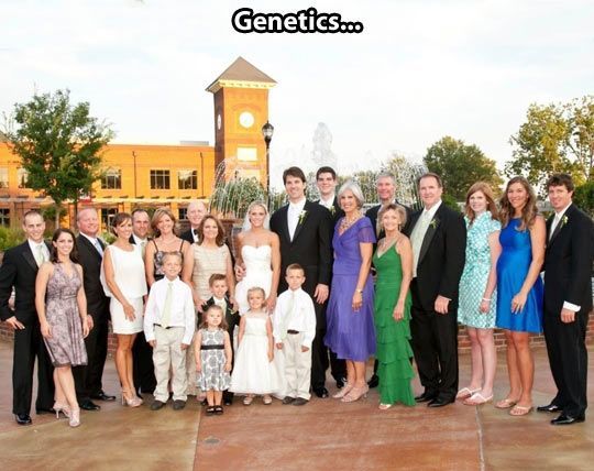 Genetics-