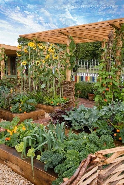 Great raised beds by freida
