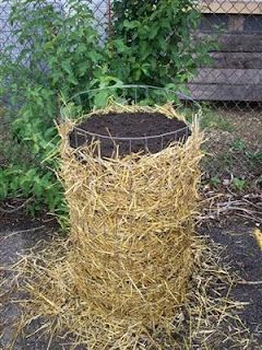 grow potatoes in a tower.  yields upwards of 25 lbs depending on variety.