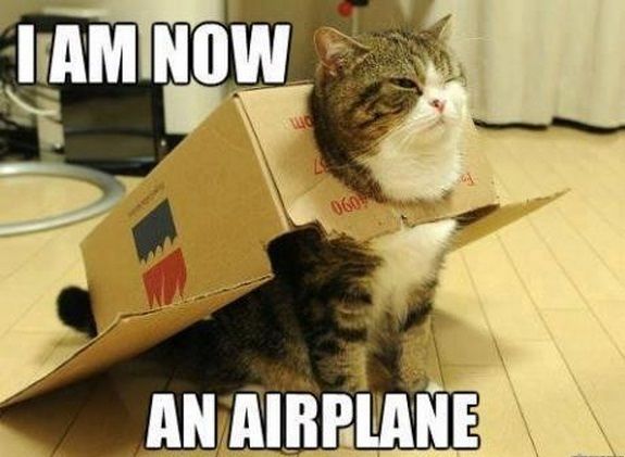 Hilarious New LoLCats