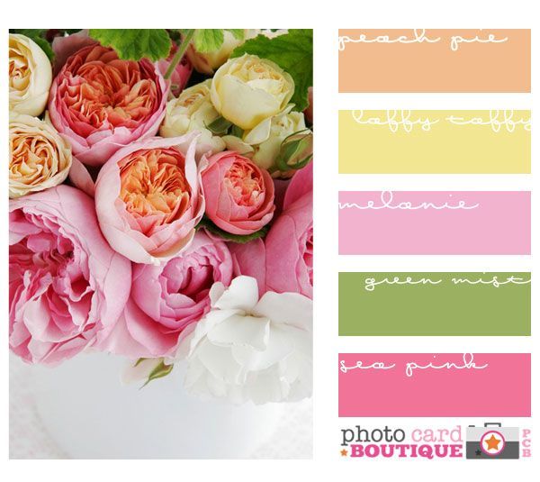 Not sure what’s prettier, this color palate or the gorgeous David Ausin roses?!
