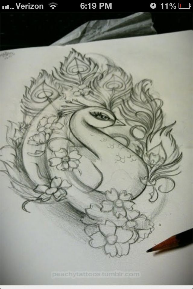Peacock tattoo idea, not sure if this would actually make it somewhere on my bod