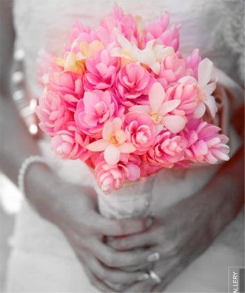 #pink #wedding #bouquet  Pink Ginger!