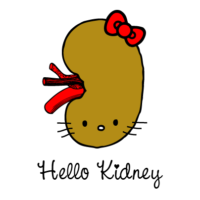the real hello kitty sucks. but hello kidney is fantastic.