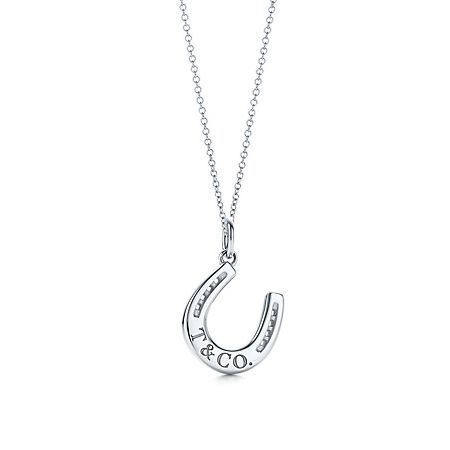 Tiffany & Co Horseshoe Charm and Chain