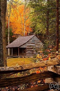 Wed love to have this cabin in the woods!