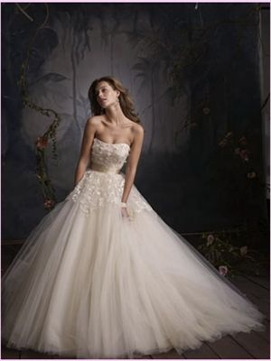 White Ball Lace Tulle Wedding Dress AWD250021