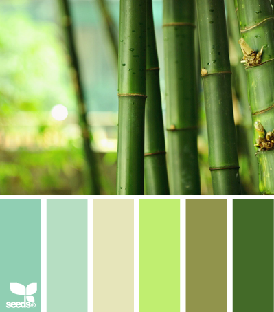 bamboo hues. new apartments kitchen and living room are the darkest green. looki