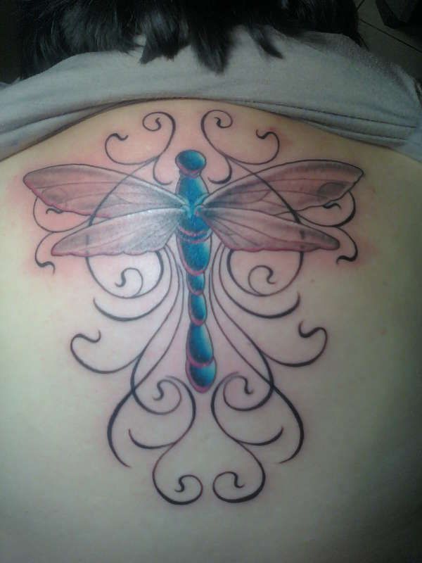 Dragonfly Tattoos Pictures and Images