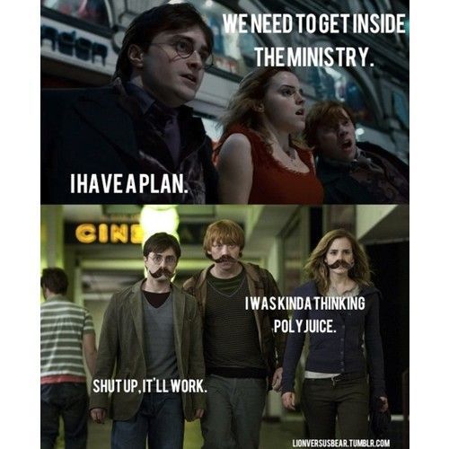 Funny Sirius Black Quotes | harry potter funny backgrounds funny pictures polyvo