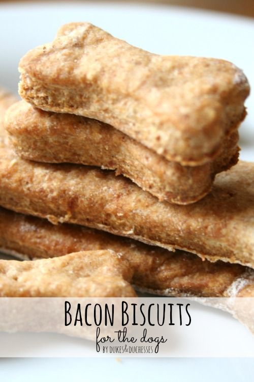 homemade bacon dog biscuits
