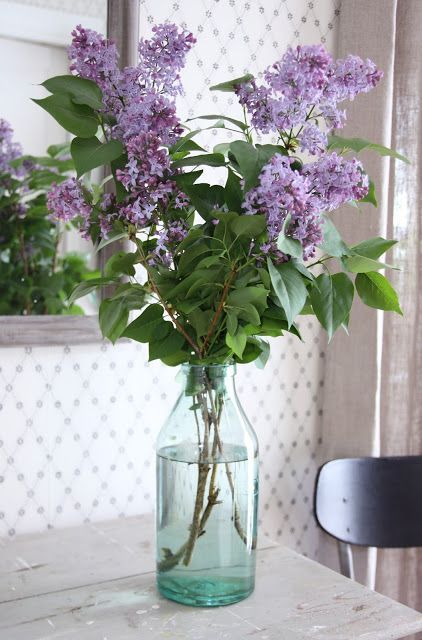 I have to plant some lilacs. I love the smell..