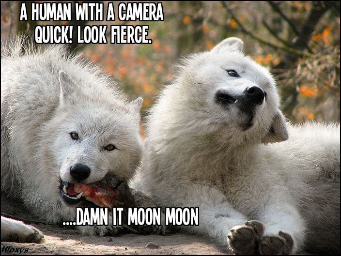 Moon Moon doesnt get it. Sorry for the language but this made me laugh wayyy too