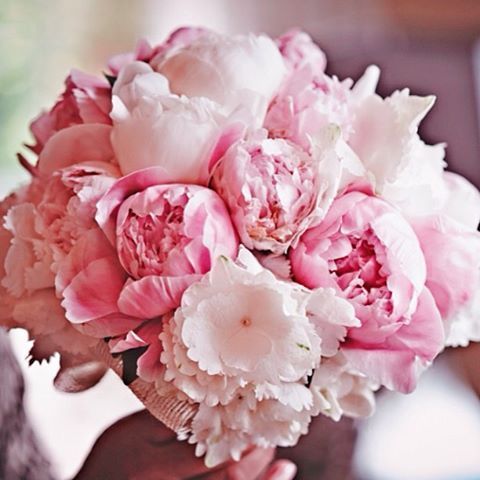 pink wedding flowers – thanks to a hint from Michele, big blooms cost less becau