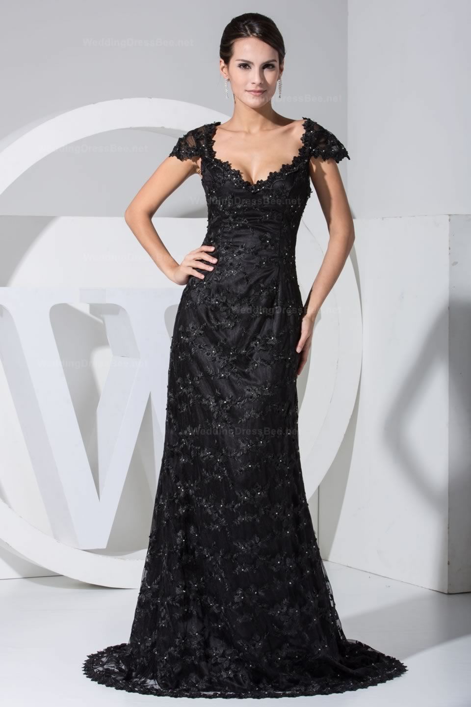 Slim A-line with cap sleeve lace overlay evening dress