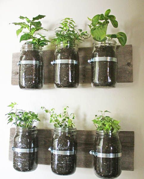Wall Garden Design Ideas, DIY Projects for Decorating Small Spaces with Edible H