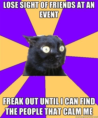 Anxiety Cat is my twin.