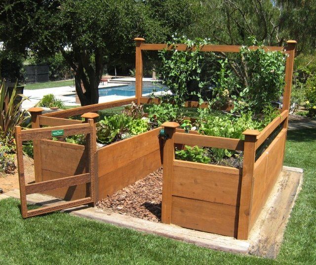 Bed Raised Backyard Vegetable Garden | RAISED BED ORGANIC VEGETABLE GARDEN | See