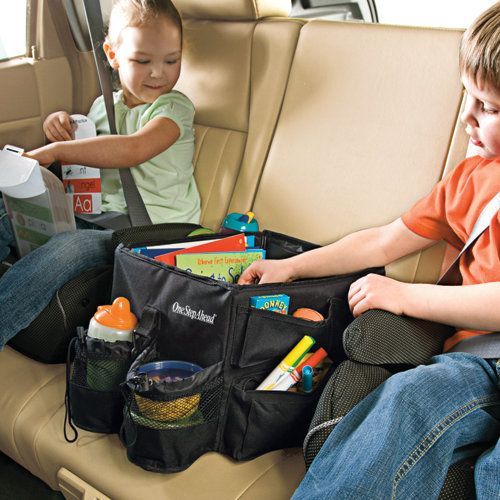 Family Travel Organizer for the Car. I used to have canvas/beach bags in the bac