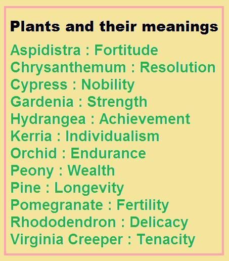 Feng Shui Plants Meanings