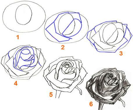 How To Draw A Petal | How to Draw a Rose, step by step | Pencil Drawing a Rose F