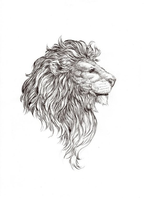 I Shouldve Gotten This As My Lion Tattoo… Maybe Theres Hope For Another?