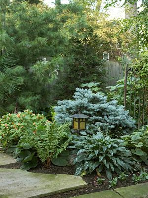 Landscaping Ideas for the Front Yard
