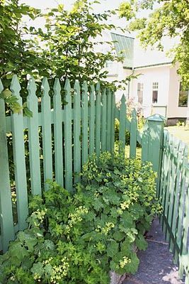 Love this color fence…