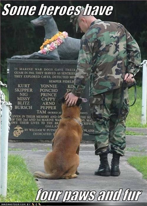 Memorial for the Dog Veterans in Guam hidden away on the Navy Base . BEEN HERE .