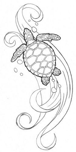 Over the past year or so ive been loving sea turtles! I think what started it wa