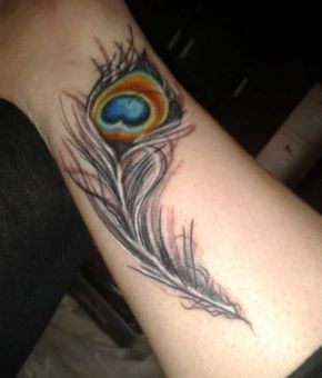 peacock-feather-tattoo-drawings