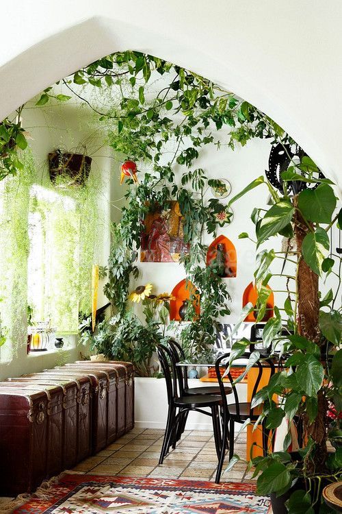 plant-filled room
