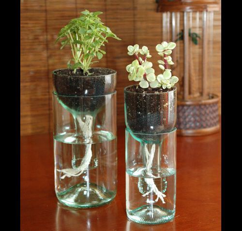 Self-watering planters and Other Ways To Repurpose Wine Bottles | #DIY