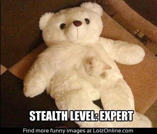 Stealth level: EXPERT. Just goes to show a cats innate brilliance – I would expe