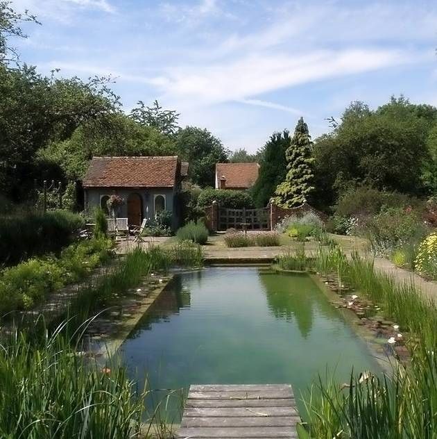 The natural swimming pond at Snares Hill Cottage, Duck End,  Stebbing,  Essex