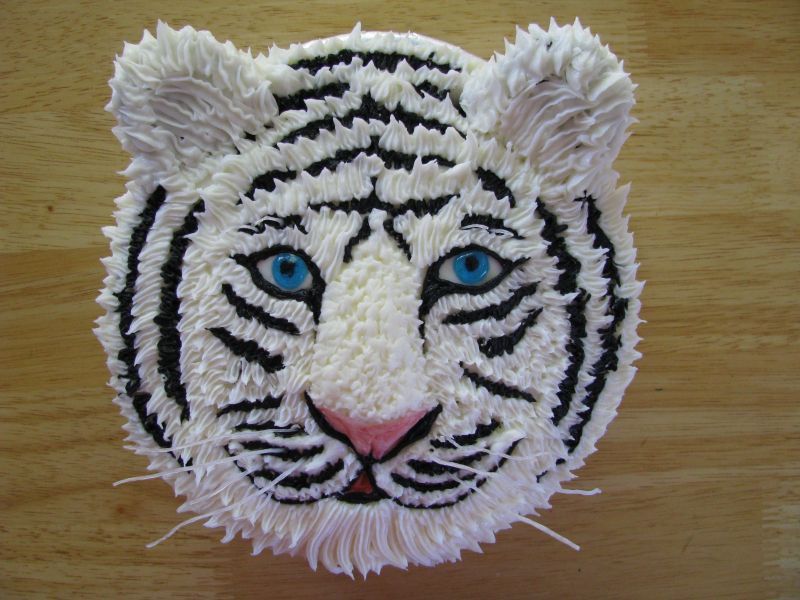 Tiger cake, round cake pan, cookies for ears, nose built up with frosting.