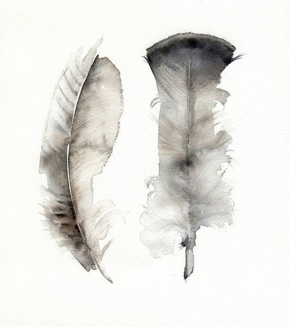 Turkey Feathers- archival print, feather art, feather watercolor. $20.00, via Et