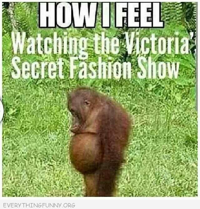 Victorias Secret Fashion Show….how I feel.