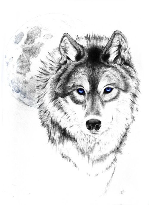 wolf tattoo | Tumblr love this wolf and moon.