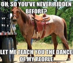 Yep, horses definitely know when youre inexperienced. Some horses might be nice