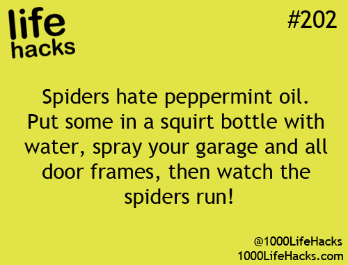 1000 Life Hacks. I have looked for peppermint oil several times because Ill try