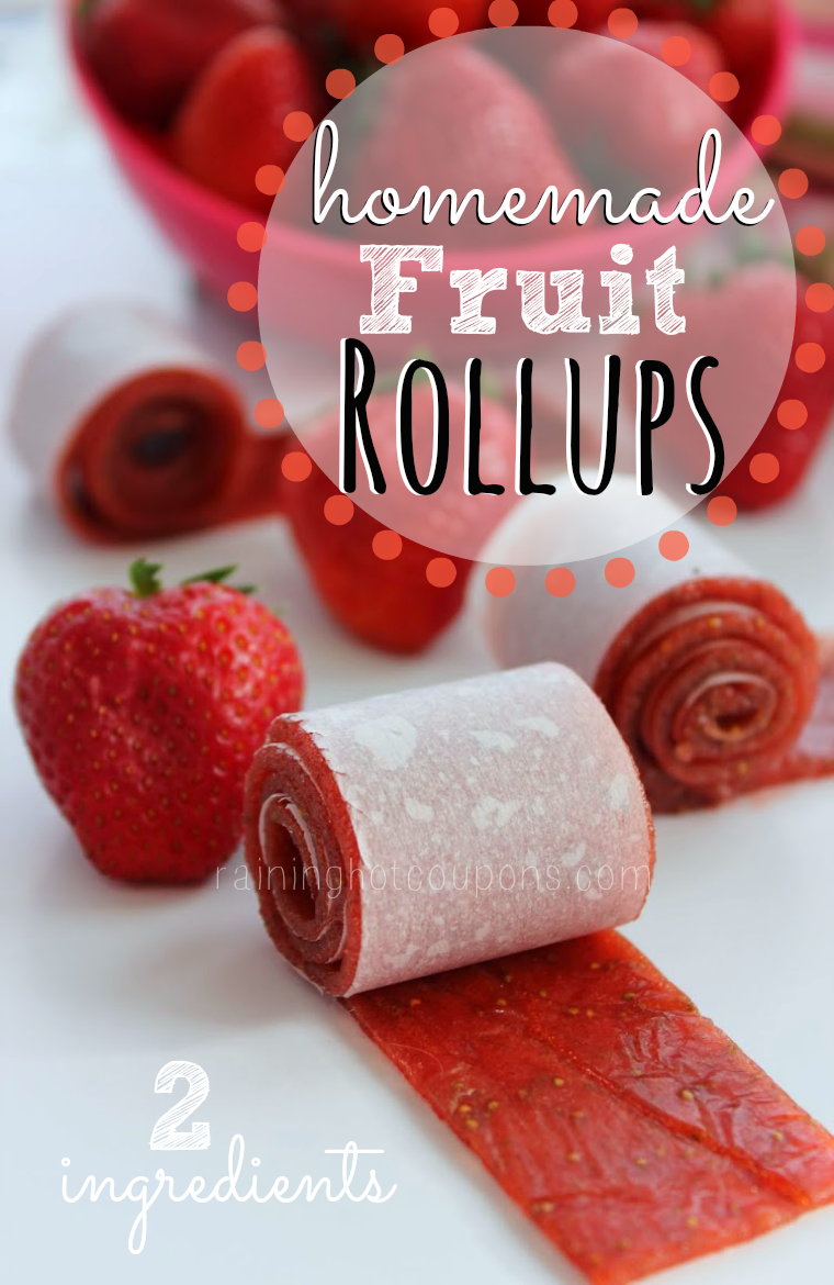 2 Ingredient Homemade Fruit Rollups