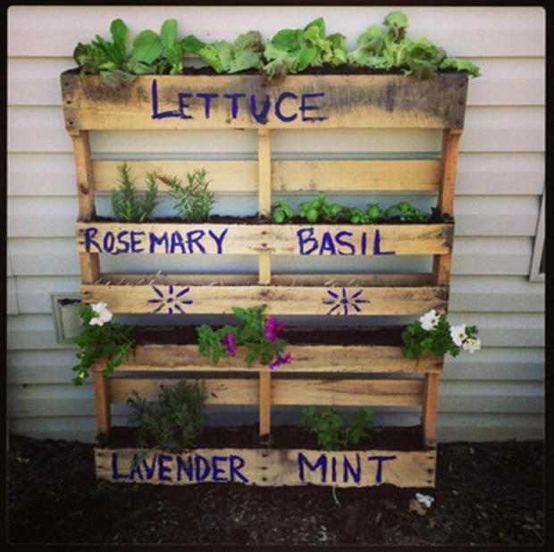 42 Amazing Uses For Old Pallets I want this for my cilantro, basil, parsley, wha