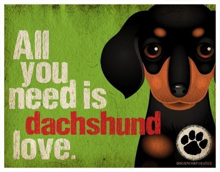 All You Need is Dachshund Love Print